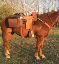 Reinsman Deluxe Insulated Cooler Saddle Bag