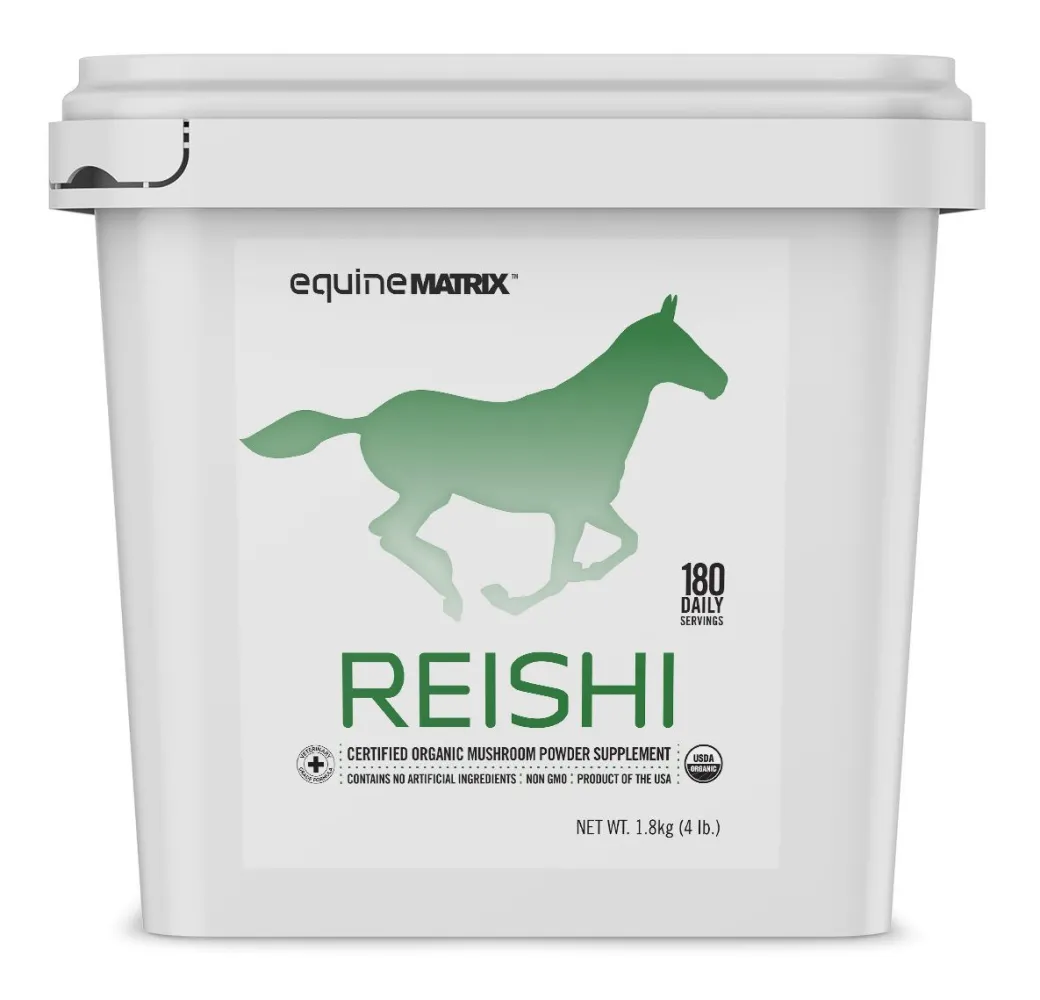 Reishi Equine Matrix