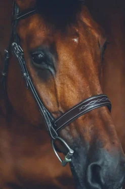 Riviera Equisports Brentwood Hunter Bridle