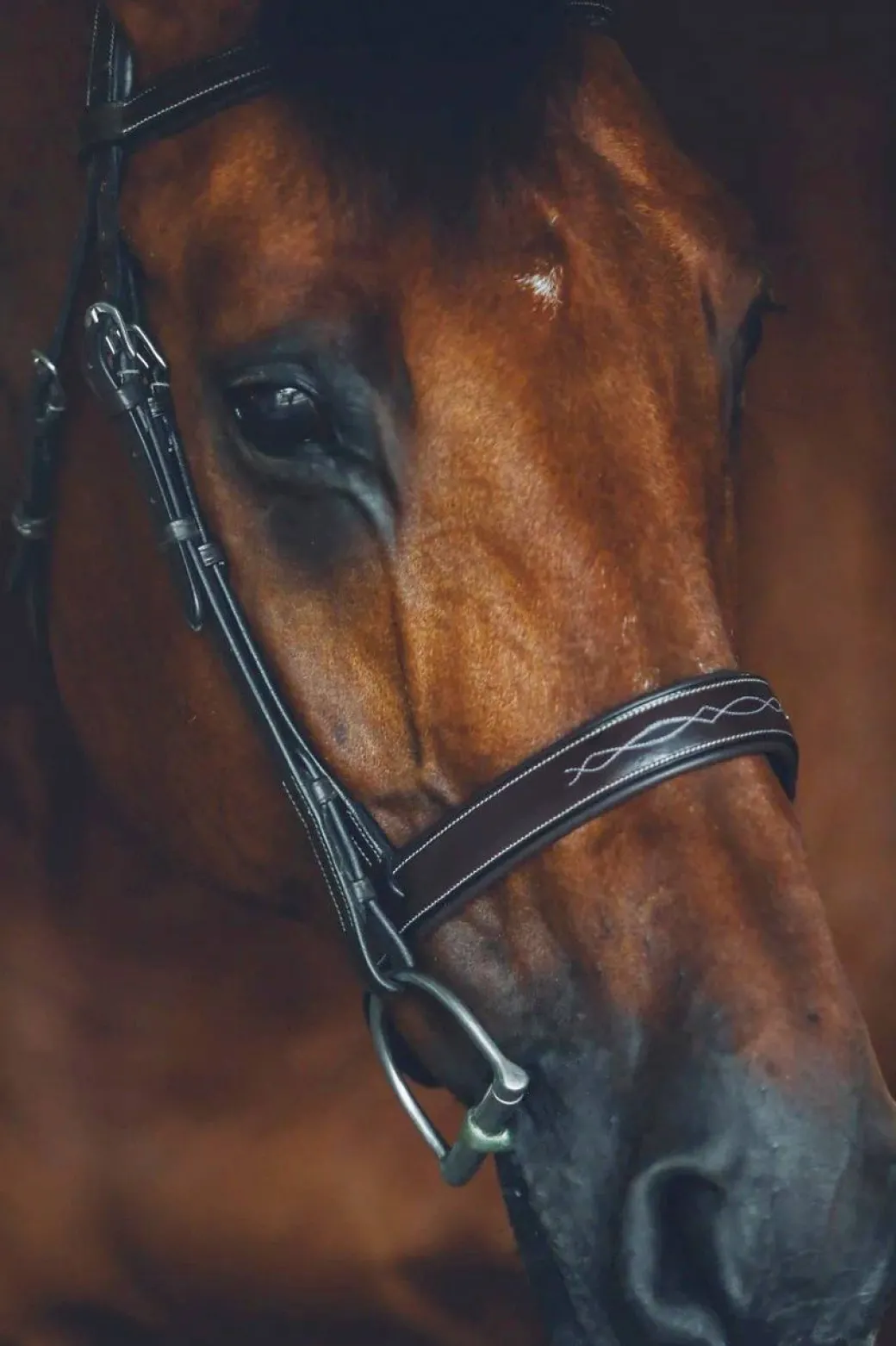 Riviera Equisports Brentwood Hunter Bridle
