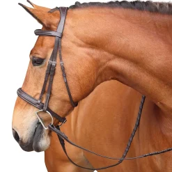 Shires Avignon Wellington Bridle
