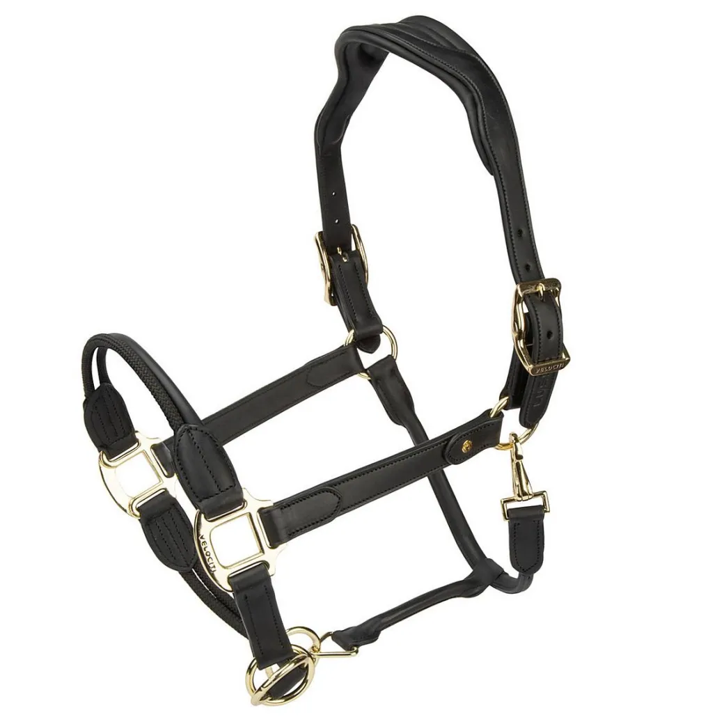 Shires Velociti Lusso Soria Leather Halter