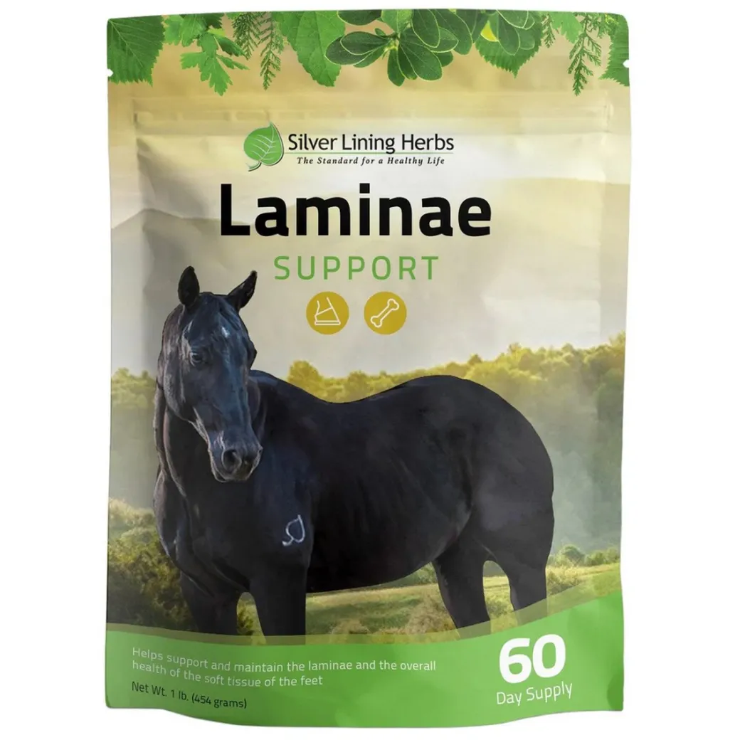 Silver Lining Herbs Equine Laminae Support