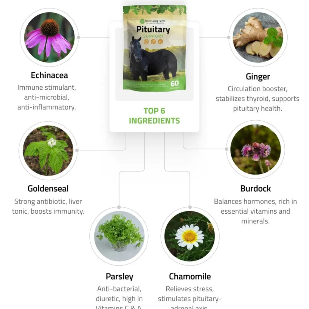 Silver Lining Herbs Equine Pituitary Support