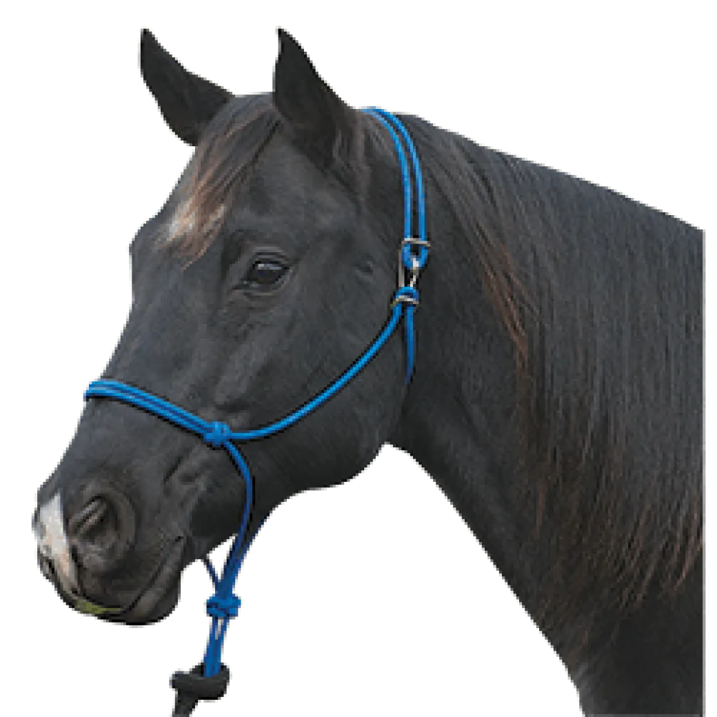 Silvertip Rope Halter with Clip