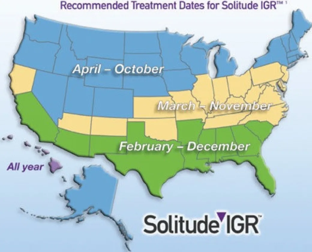 Solitude IGR Feed Thru Fly Control