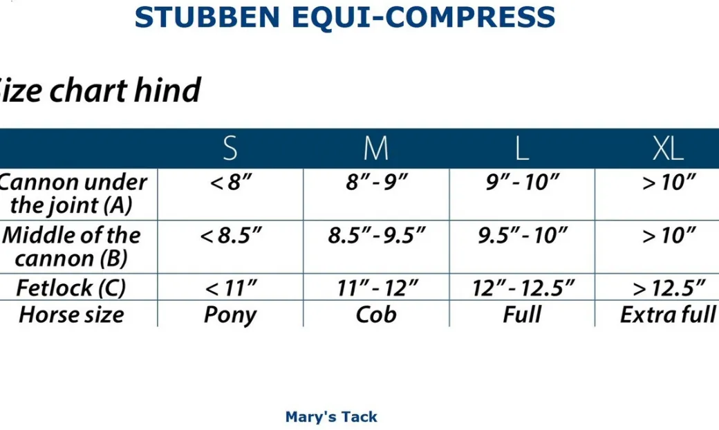 Stübben EQUI Compress Set Hind