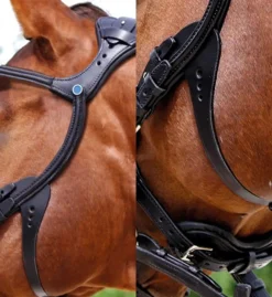 Stübben Freedom Bridle
