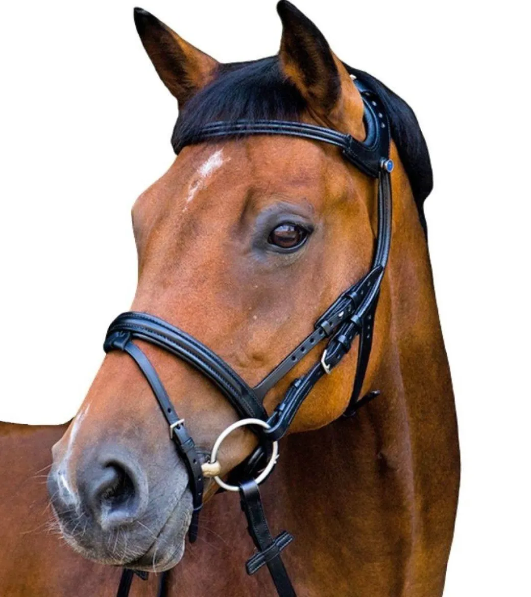 Stübben Freedom Bridle