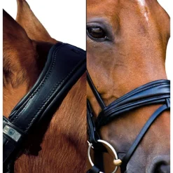 Stübben Switch Snaffle+Weymouth Bridle