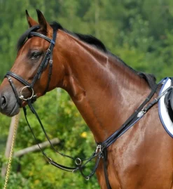 Stübben Wide Elastic Breastplate with Running Attachment