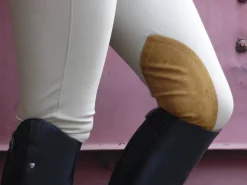 Tailored Sportsman Trophy Hunter Low Rise Breeches