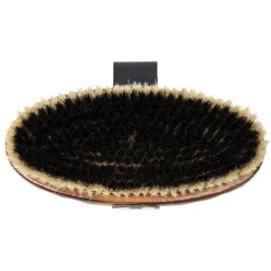 Tail Tamer Large Wood Boar Bristle Brush