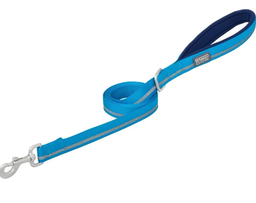 Terrain DOG Reflective Nylon Leash - 1" x 6 ft