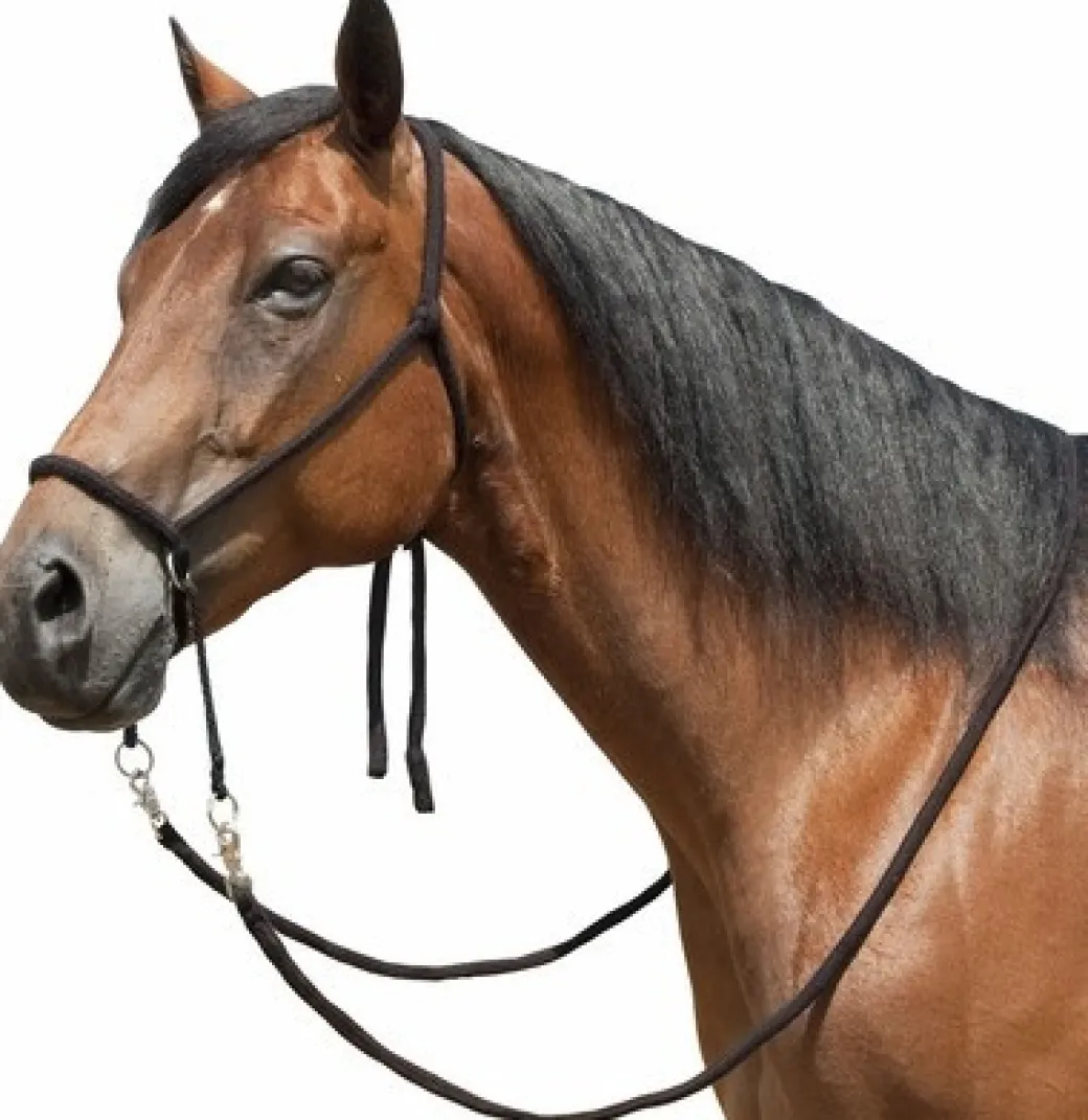Tory Leather Bitless Poly Bridle with Reins