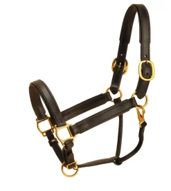 Tory Leather Black Padded Halter