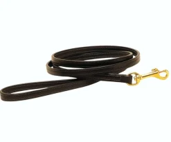 Tory Leather Fully Stitched Dog Leash