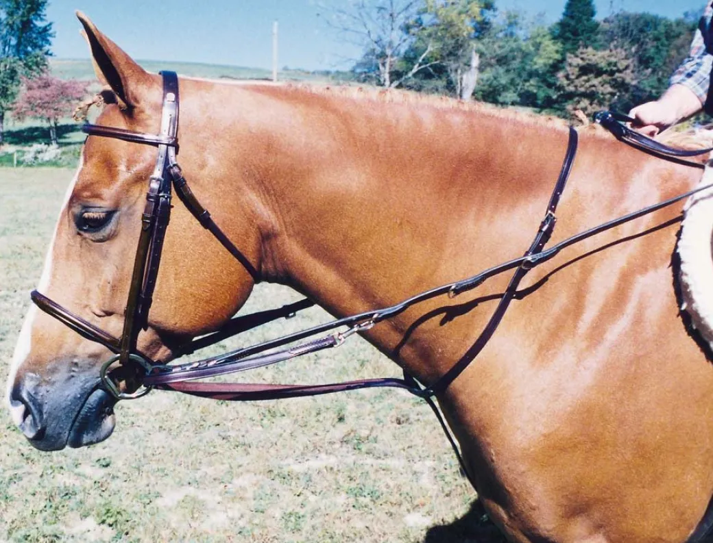 Tory Leather German Martingale