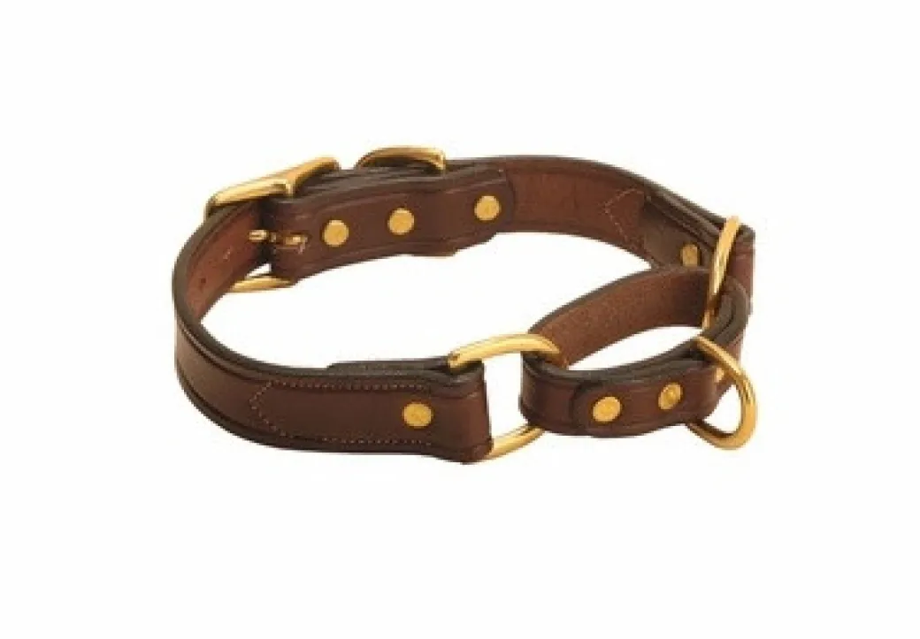 Tory Leather Martingale Correction Collar