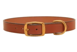 Tory Leather Plain Harness Leather Dog Collar