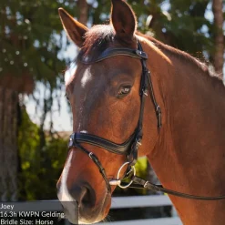 Total Saddle Fit Better Bridle
