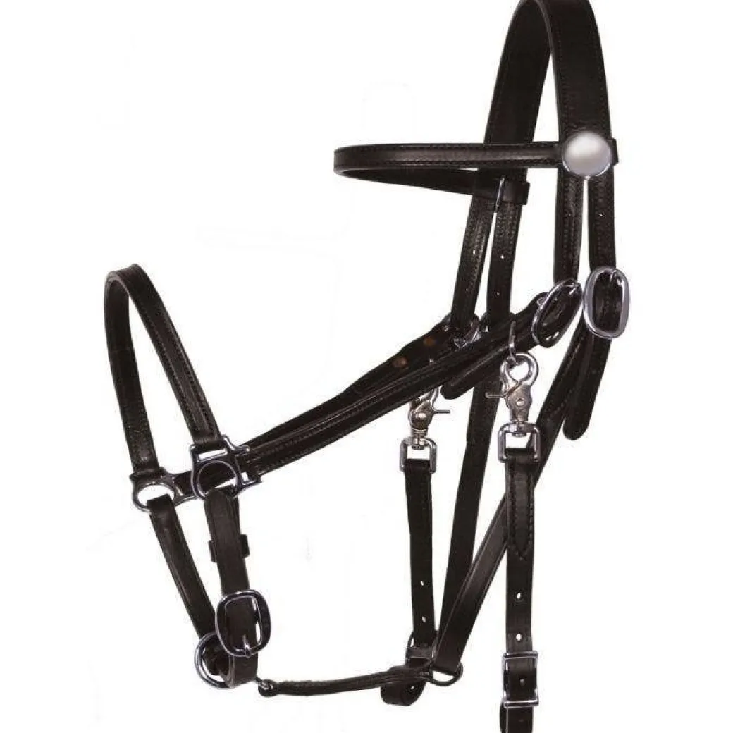 Tucker Halter Bridle Lite