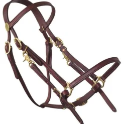Tucker Halter Bridle Lite