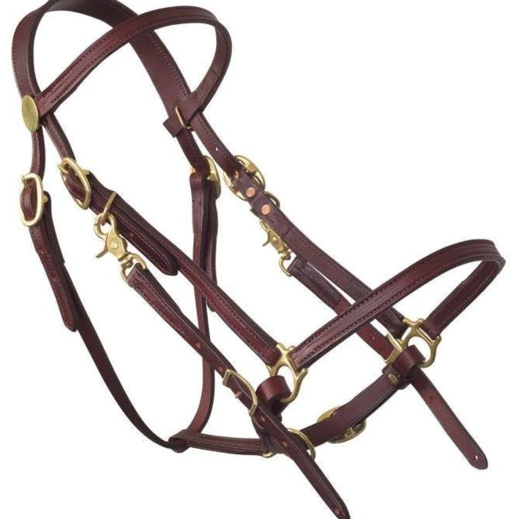 Tucker Halter Bridle Lite