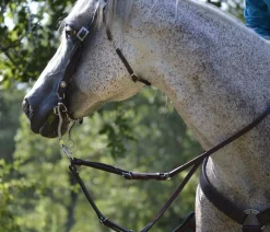 Tucker Horizon Series Brow Bridle