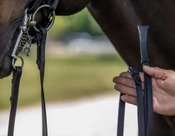 Vespucci New Double Raised Weymouth Bridle