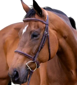 Vespucci New Fancy Raised Hunter Bridle