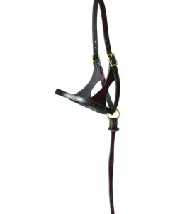 Walsh Grow With Me Foal Halter