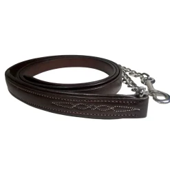 Walsh Signature Padded Lead with 30" Chain