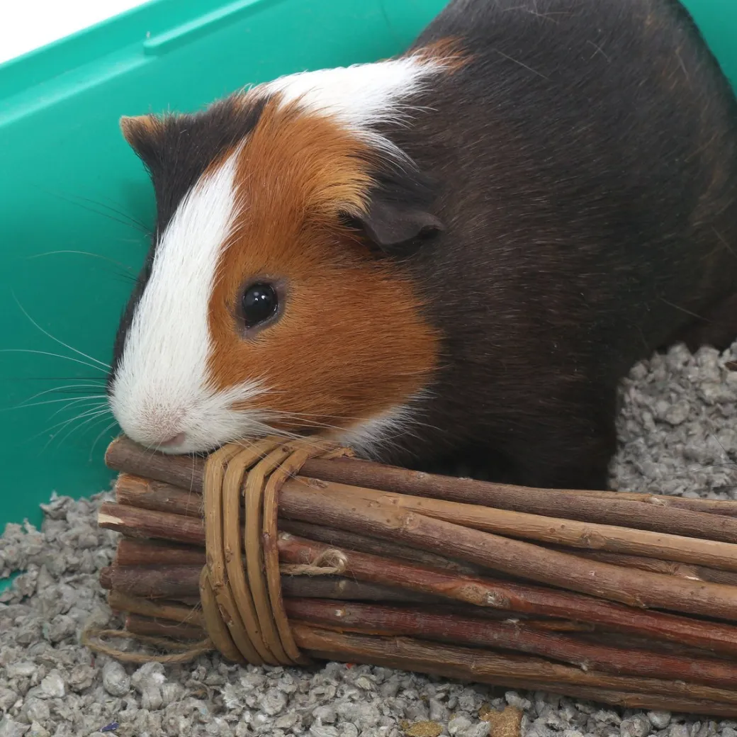 Ware Pet Mega Munch Sticks