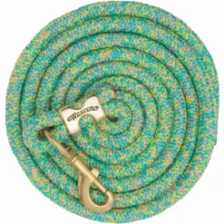 Weaver Nylon Lead Rope | Mosaic