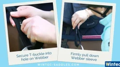 Wintec Webbers