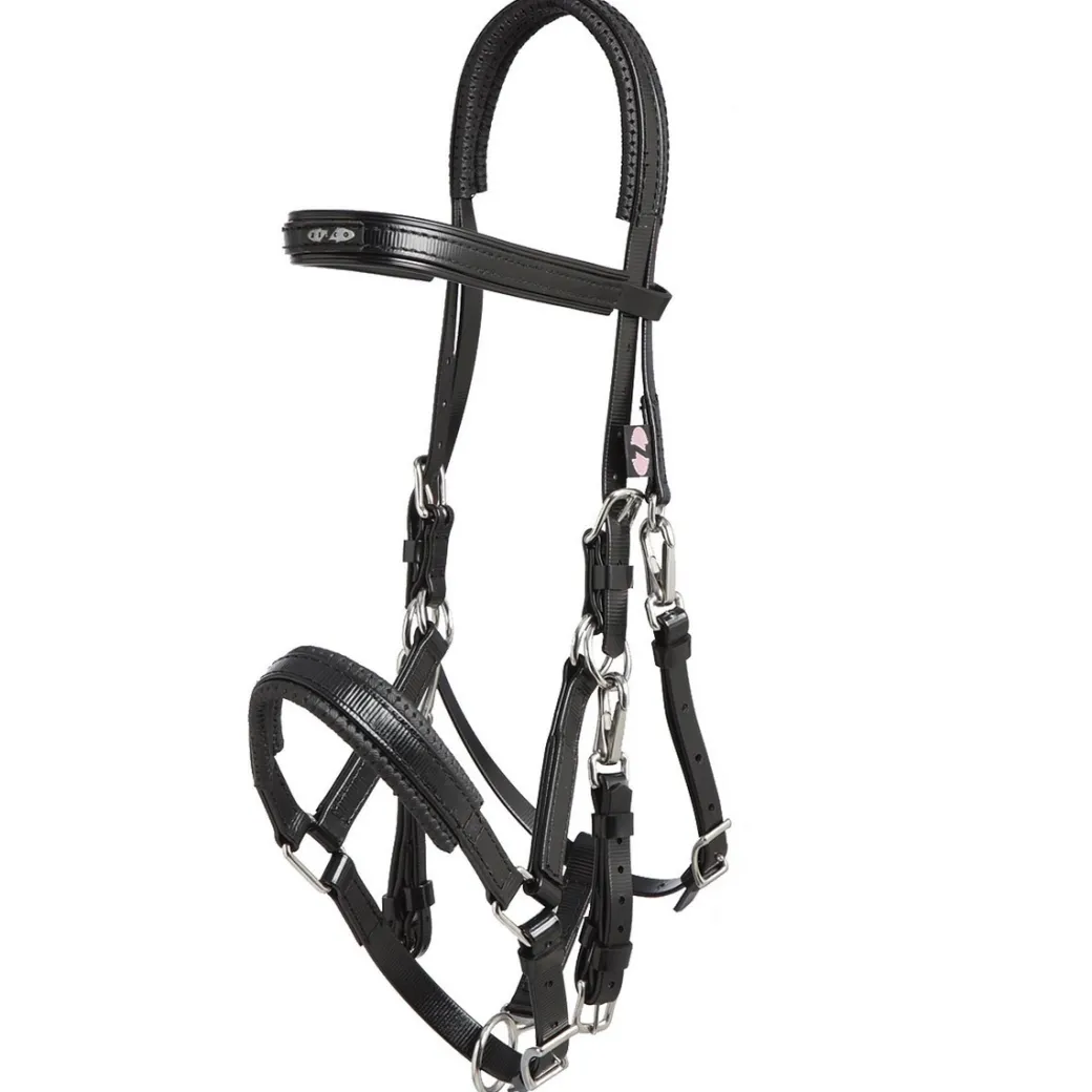 Zilco Marathon Endurance Bridle